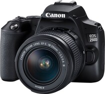 Фотоаппарат Canon EOS 250D Kit 18-55mm f/3.5-5.6 III
