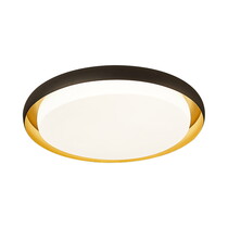 Лампа потолочная Xiaomi Huizuo Pisces Smart Ceiling Lamp 18W Black Gold 45 см