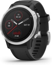 Часы Garmin Fenix 6S Silver Black 010-02159-01