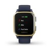 Часы Garmin Venu Sq Music Edition Navy/Light Gold 010-02426-12 фото 6